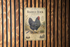 Barred Rock Chicken Metal Sign, Vintage Natural History Poultry Illustration, Scientific Specimen Plate Wall Decor for Farmhouse Cabin Lodge — photo 1