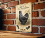 Black Silkie Chicken Metal Sign, Vintage Natural History Ornithology Specimen Plate with Scientific Name, Range Map & Notes — photo 1