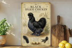 Black Silkie Chicken Metal Sign, Vintage Natural History Ornithology Specimen Plate with Scientific Name, Range Map & Notes — photo 2
