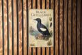 Black Guillemot Metal Sign Vintage Natural History Bird Plate Scientific Name Range Map Habitat Notes Ornithology Wall Decor — photo 1