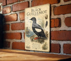Black Guillemot Metal Sign Vintage Natural History Bird Plate Scientific Name Range Map Habitat Notes Ornithology Wall Decor — photo 2