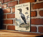 Common Murre Metal Sign Vintage Natural History Bird Illustration Audubon Ornithology Specimen Plate Scientific Name Range Map Notes — photo 3