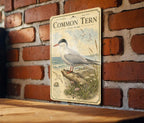 Common Tern Metal Sign, Audubon-Inspired Ornithology Illustration, Scientific Bird Plate with Range Map, Habitat Notes Decor — photo 1