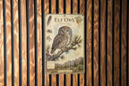 Elf Owl Metal Sign, Vintage Natural History Bird Plate, Scientific Name, Range Map, Habitat Notes, Cabin Lodge Wall Decor — photo 2
