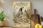 Gambel's Quail Family Metal Sign, Vintage Natural History Bird Illustration, Scientific Name, Range Map, Habitat Notes Wall Decor — photo 3