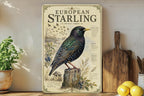 European Starling Metal Sign, Audubon-Inspired Natural History Bird Plate, Scientific Name, Range Map, Habitat Notes Wall Decor — photo 1