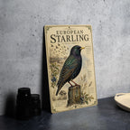 European Starling Metal Sign, Audubon-Inspired Natural History Bird Plate, Scientific Name, Range Map, Habitat Notes Wall Decor — photo 4