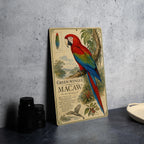 Green-Winged Macaw Metal Sign, Vintage Natural History Bird Plate, Scientific Name Range Map Habitat Notes Wall Decor — photo 4
