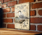 Gull-billed Tern Metal Sign Vintage Natural History Ornithology Specimen Plate with Scientific Name Range Map Habitat Notes — photo 3