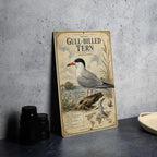 Gull-billed Tern Metal Sign Vintage Natural History Ornithology Specimen Plate with Scientific Name Range Map Habitat Notes — photo 4