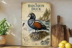 Harlequin Duck Metal Sign Vintage Natural History Bird Plate Scientific Name Range Map Habitat Notes Cabin Lodge Decor — photo 1