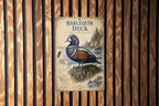 Harlequin Duck Metal Sign Vintage Natural History Bird Plate Scientific Name Range Map Habitat Notes Cabin Lodge Decor — photo 2