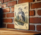 Harpy Eagle Metal Sign, Vintage Natural History Bird Plate, Audubon Ornithology Wall Decor, Scientific Name Range Map Notes — photo 2
