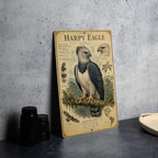 Harpy Eagle Metal Sign, Vintage Natural History Bird Plate, Audubon Ornithology Wall Decor, Scientific Name Range Map Notes — photo 4