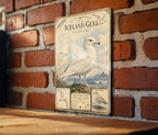 Iceland Gull Metal Sign, Audubon-Inspired Natural History Bird Plate with Scientific Name, Range Map, Habitat Notes Wall Decor — photo 1