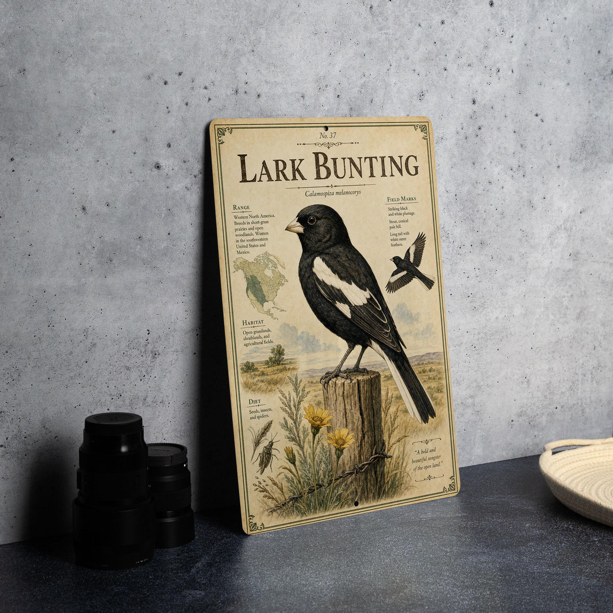 Lark Bunting Metal Sign Vintage Natural History Bird Illustration with Scientific Name Range Map Habitat Notes Cabin Lodge Decor — photo 4