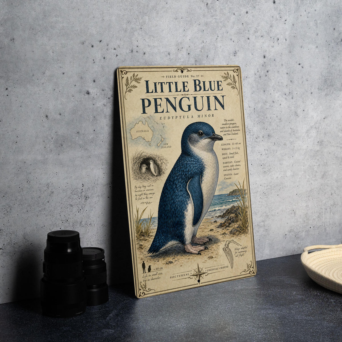Little Blue Penguin Metal Sign, Vintage Natural History Specimen Plate, Scientific Name, Range Map, Habitat Notes Wall Decor — photo 4