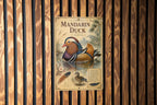 Mandarin Duck Metal Sign Vintage Natural History Bird Plate Ornithology Illustration Scientific Name Range Map Habitat Scene — photo 1