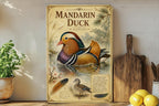 Mandarin Duck Metal Sign Vintage Natural History Bird Plate Ornithology Illustration Scientific Name Range Map Habitat Scene — photo 3