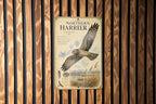 Northern Harrier Metal Sign, Audubon Ornithology Illustration, Scientific Name, Range Map, Habitat Notes, Natural History Wall Decor — photo 3