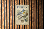Northern Parula Metal Sign, Vintage Audubon-Inspired Bird Field Guide Plate, Scientific Name, Range Map, Habitat Notes Wall Decor — photo 2