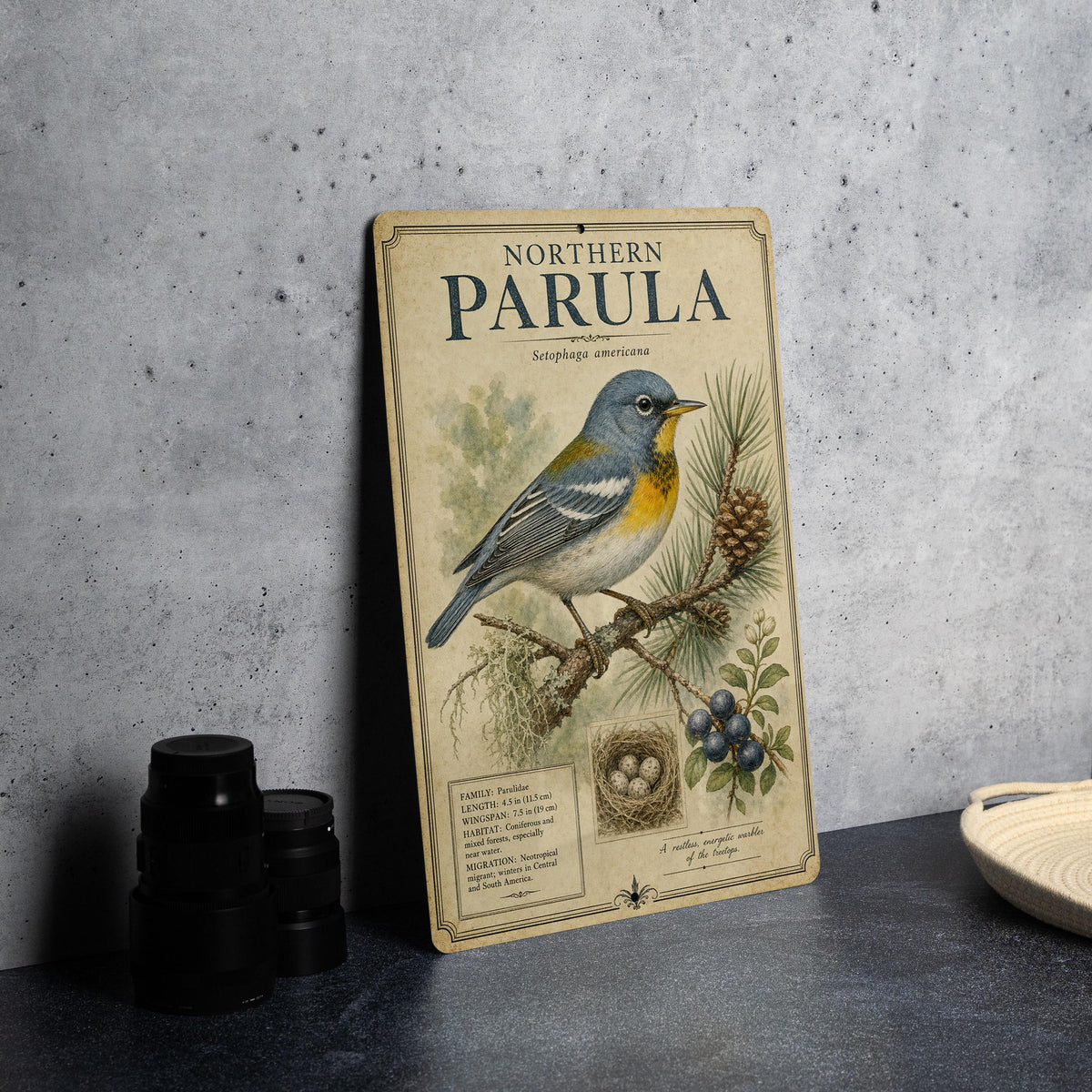Northern Parula Metal Sign, Vintage Audubon-Inspired Bird Field Guide Plate, Scientific Name, Range Map, Habitat Notes Wall Decor — photo 4