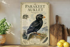 Parakeet Auklet Metal Sign, Vintage Natural History Bird Illustration, Scientific Name Range Map Notes, Cabin Lodge Decor Gift — photo 1