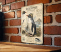 Rockhopper Penguin Metal Sign Vintage Natural History Print Scientific Name Range Map Anatomical Notes Habitat Scene Wall Decor — photo 1