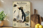 Rockhopper Penguin Metal Sign Vintage Natural History Print Scientific Name Range Map Anatomical Notes Habitat Scene Wall Decor — photo 4