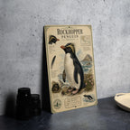 Rockhopper Penguin Metal Sign Vintage Natural History Print Scientific Name Range Map Anatomical Notes Habitat Scene Wall Decor — photo 5