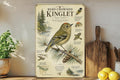 Ruby-Crowned Kinglet Metal Sign Vintage Natural History Bird Illustration with Scientific Name Range Map Habitat Notes Audubon Style — photo 1