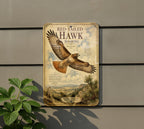 Red Tailed Hawk Soaring Metal Sign, Audubon-Inspired Ornithology Plate, Scientific Name Range Map Notes, Cabin Lodge Decor — photo 3