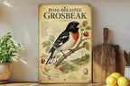 Rose-Breasted Grosbeak Metal Sign, Audubon-Inspired Natural History Bird Plate with Scientific Name, Range Map, Habitat Notes — photo 3