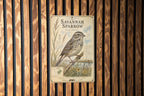 Savannah Sparrow Metal Sign, Audubon-Inspired Natural History Bird Plate, Scientific Name Range Map Habitat Notes, Birder Decor Gift — photo 5