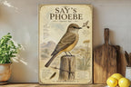 Say’s Phoebe Metal Sign, Vintage Ornithology Bird Illustration, Scientific Name, Range Map, Habitat Notes, Cabin Lodge Decor — photo 3
