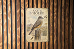 Say’s Phoebe Metal Sign, Vintage Ornithology Bird Illustration, Scientific Name, Range Map, Habitat Notes, Cabin Lodge Decor — photo 4