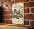 Spotted Towhee Metal Sign, Audubon-Inspired Natural History Bird Plate, Scientific Name, Range Map, Habitat Notes Wall Decor — photo 1