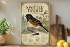 Spotted Towhee Metal Sign, Audubon-Inspired Natural History Bird Plate, Scientific Name, Range Map, Habitat Notes Wall Decor — photo 2