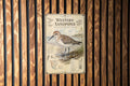 Western Sandpiper Metal Sign, Audubon-Inspired Ornithology Specimen Plate, Scientific Name Range Map Habitat Notes, Bird Wall Decor — photo 1