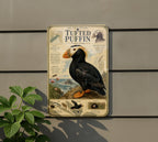 Tufted Puffin Metal Sign, Vintage Natural History Bird Illustration, Scientific Name, Range Map, Anatomical Notes, Habitat Scene — photo 3
