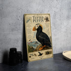 Tufted Puffin Metal Sign, Vintage Natural History Bird Illustration, Scientific Name, Range Map, Anatomical Notes, Habitat Scene — photo 5