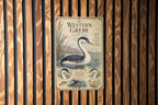 Western Grebe Metal Sign, Audubon-Inspired Ornithology Plate, Scientific Bird Illustration with Range Map, Habitat Notes — photo 1