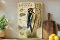 Yellow-Bellied Sapsucker Metal Sign, Audubon-Inspired Natural History Bird Plate with Scientific Name, Range Map & Habitat Scene — photo 1