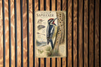 Yellow-Bellied Sapsucker Metal Sign, Audubon-Inspired Natural History Bird Plate with Scientific Name, Range Map & Habitat Scene — photo 3