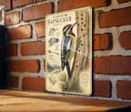 Yellow-Bellied Sapsucker Metal Sign, Audubon-Inspired Natural History Bird Plate with Scientific Name, Range Map & Habitat Scene — photo 4