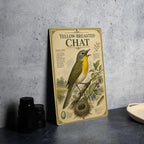Yellow-Breasted Chat Metal Sign, Audubon-Inspired Bird Illustration, Natural History Specimen Plate, Ornithology Wall Decor — photo 2