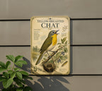 Yellow-Breasted Chat Metal Sign, Audubon-Inspired Bird Illustration, Natural History Specimen Plate, Ornithology Wall Decor — photo 3