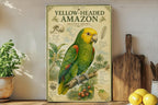 Yellow Headed Amazon Metal Sign, Vintage Natural History Bird Plate, Audubon Ornithology Wall Decor, Scientific Specimen Art — photo 1