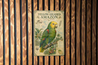 Yellow Headed Amazon Metal Sign, Vintage Natural History Bird Plate, Audubon Ornithology Wall Decor, Scientific Specimen Art — photo 2