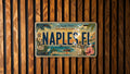 Naples FL Metal License Plate Sign, Florida Travel Poster Style License Plate Wall Decor, Naples Souvenir Gift — photo 1